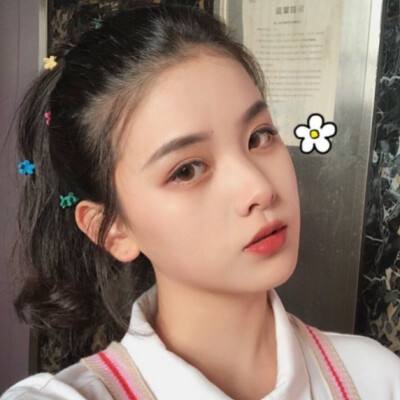 战姬纹章中文版下载